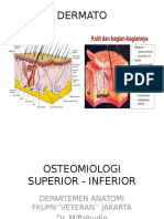 Lab Act Upn - Anatomi Osteomiologi New Dms