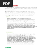 Download Kingdom Monera by Annisa Aulia SN33950657 doc pdf