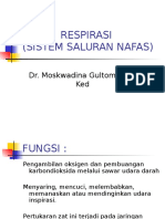 Histologi Sistem Pernafasan 