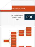 La Prueba Pericial PDF