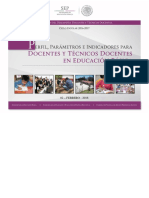 Docente_Tecdocente PERFIL Y PARAMETROS.pdf