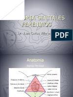 Obstetricia 1 Usamedic Completo PDF