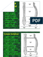 Coluna Vertebral PDF