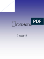 13_Chromosomes.pdf
