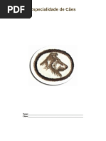 Especialidade de Cães - Respondida