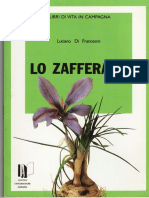 Zafferano Dispensa PDF