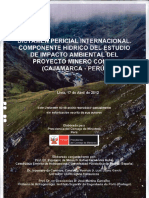 Peritaje A Conga PDF