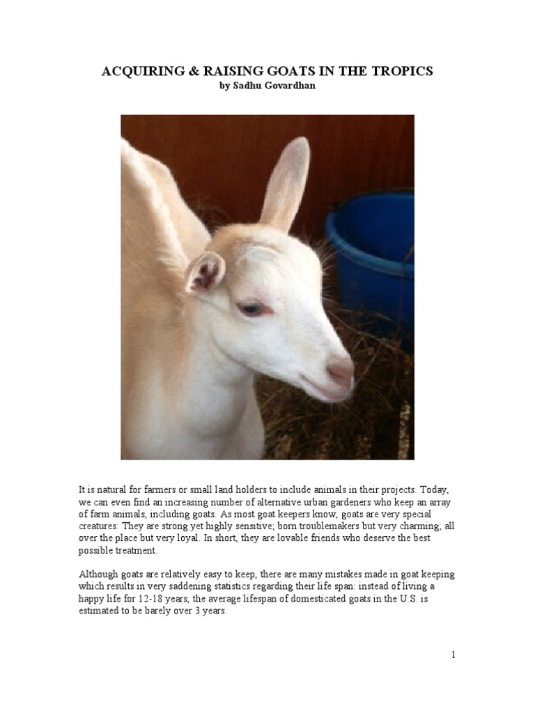 Guide to Raising Goats in the Tropics | PDF | Goat | Hay