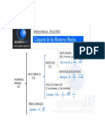 Esquema Del Conjunto de Los Números Reales - Academia JAF PDF