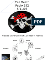 Lec 13 Apoptosis