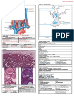 32636087 Thyroid Physiology