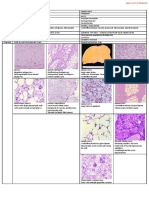 32635843 Soft Tissue Tumours