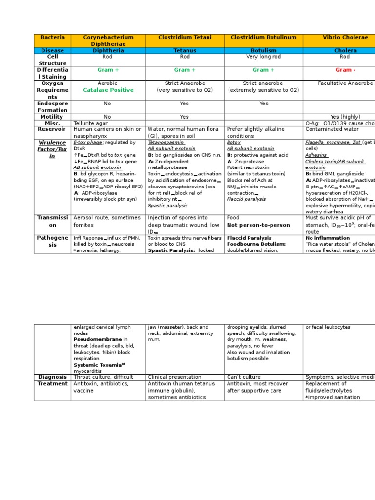 Bacteria Chart Immunology Infectious Disease by Nina | PDF ...