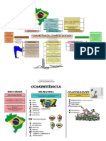 Competência PDF