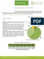 INFORME