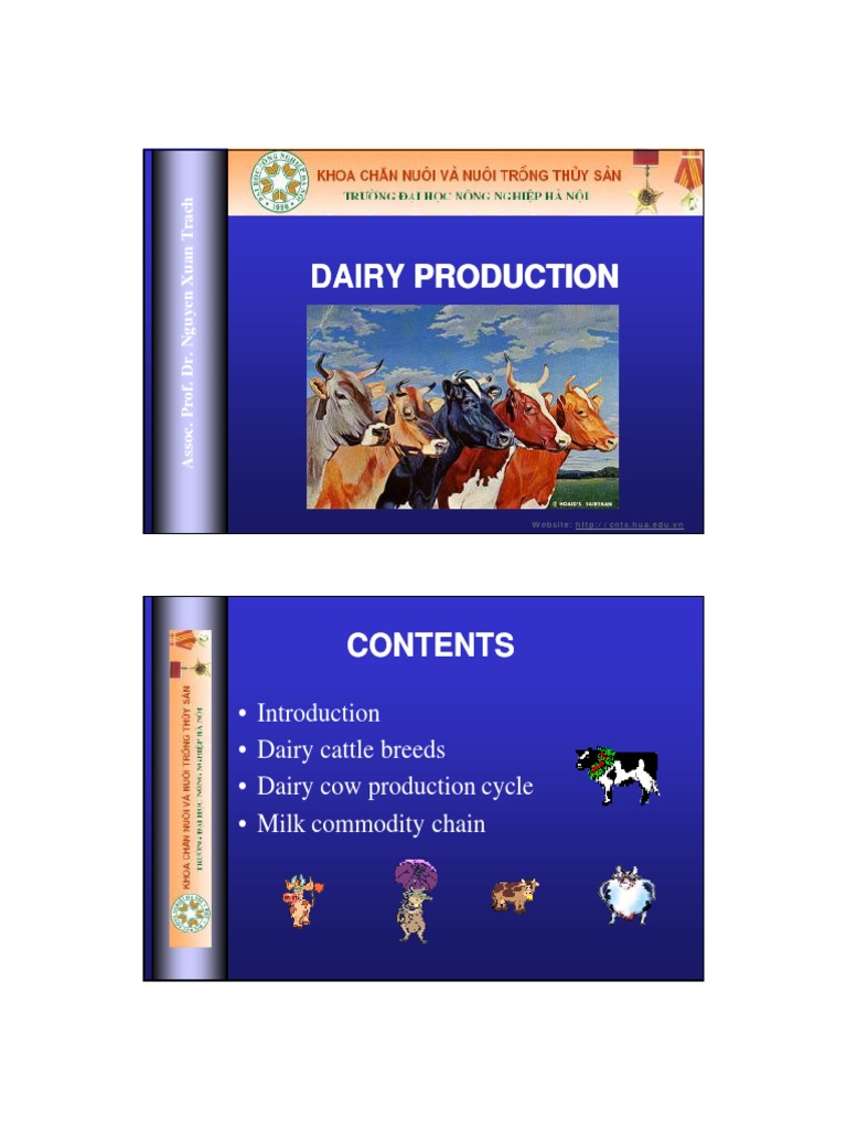 Dairy Cattle Production Overview | PDF | Dairy Cattle | Calf