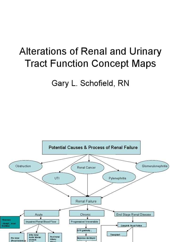 renal and urinary concept maps Kidney Urinary Tract Infection