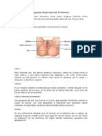 Aparatos reproductores