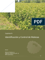 Identificación de Malezas