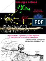 Microbiologia Sol