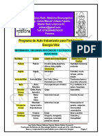 Terapiadeenergiavital PDF