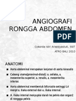 Angiografi Rongga Abdomen