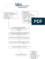 136225923 Patent Ductus Arteriosus Pathophsyiology