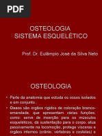 Aula Osteologia 