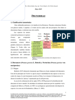 13 - Guia de Prunoideas 5-2015