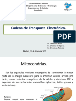 Cadena de Transporte Electronico PDF