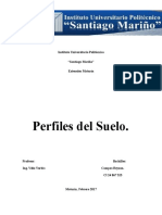 perfil de suelo campos reyzon.docx