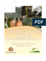 manual tecnico cultivo de tomate de arbol en el Huila.pdf