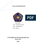 Tunga Penetrans Morfologi dan Siklus Hidup