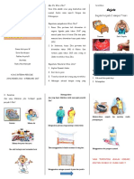 Leaflet Virus Zika