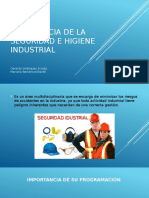 Importancia de La Seguridad e Higiene Industrial