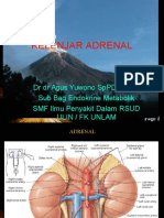 Kelenjar Adrenal