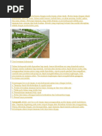 Download Hidroponik Adalah Cara Bertanam Dengan Media Tanam Selain Tanah by Cecep Suparm SN339648744 doc pdf