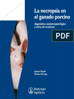 necropsia del ganado porcino.pdf