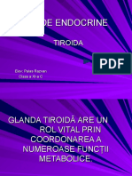 Glandeendocrine Tiroida