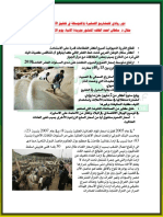 دور ريادي للمشاريع الصغيرة والمتوسطة في تحقيق الأمن الغذائي PDF