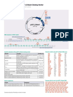 Map and Features of PJET1