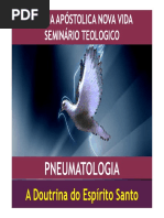 Pneumatologia o Espírito Santo Dons Espirituais