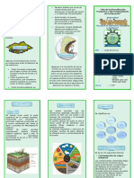 TRICTICO LA Contaminacón