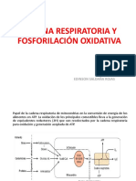 004 Cadena Respiratoria y Fo.r. y f.o