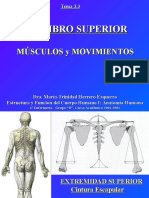 4.2 Miembro Superior Musculos y Movimientos .ppt