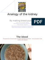 Analogy of The Kidney