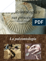 La Paleontología y Sus Procesos