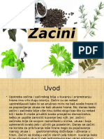 Zacini