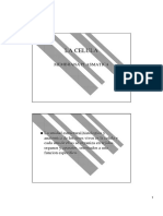 Membrana Plasmática.pdf
