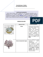 1º-medio-Biología-Las-celulas-eucariontes.pdf